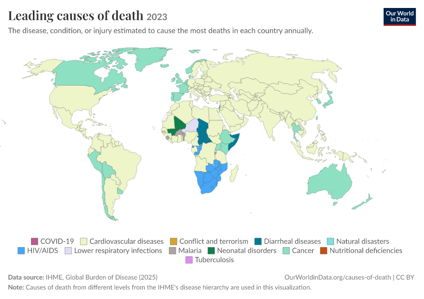 A thumbnail of the "Leading causes of death" chart